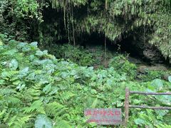 -海口火山口国家地质公园