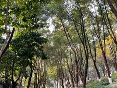 -重庆市江北嘴中央商务区中央公园