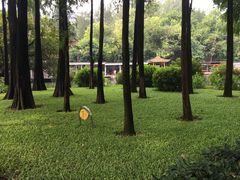 -晓港公园