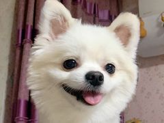 -宠颐生动物医院·心脏科·保险定点(锦阳分院)