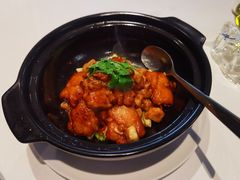 沙姜鸡-伯衡55·吉品轩(乌鲁木齐南路店)