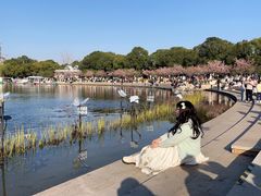 -新江湾城公园
