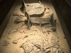 -北京大葆台遗址博物馆