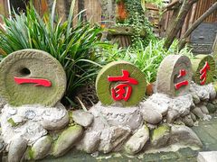 -土灶人家柴火鸡(彭州店)