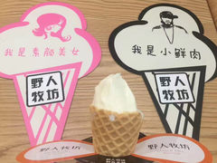 -野人先生现做冰淇淋(西安赛格店)