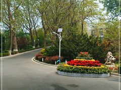 -棒棰岛宾馆景区
