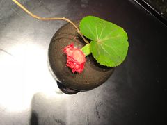-王家渡火锅店(棕榈泉店)