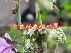 -龙头寺公园