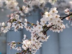 -龙美术馆(西岸馆)