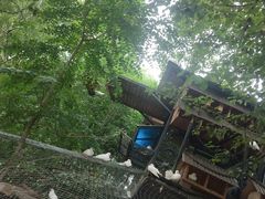 -大鹅岛绿色生态美食园