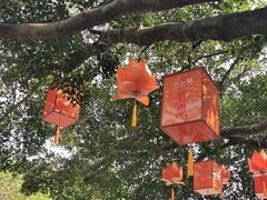 -南沙天后宫景区