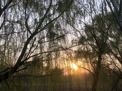 -滨湖塘西河公园