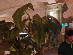 -凯撒城堡西餐厅(颐和国际店)