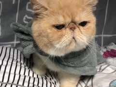 -宁波杉井奥特莱斯广场