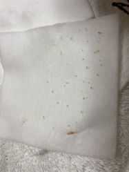 -痘院长·祛痘·皮肤管理