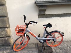 -圣母百花圣殿