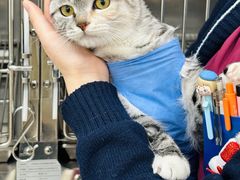 -美联众合动物医院·24h京西诊疗中心