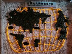 -青岛葡萄酒博物馆