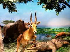 -国家自然博物馆