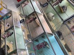 -万商花鸟市场