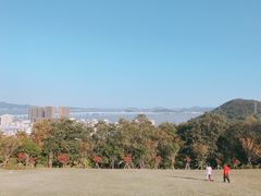 -青龙山公园