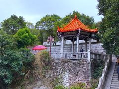 -九鲤湖风景区