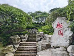 -重庆彩云湖湿地公园