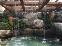-仁爱团泊湖温泉中心
