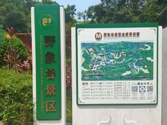 -野象谷景区