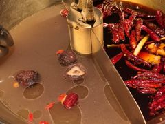 -小龙翻大江文化火锅(宽窄店)