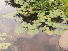 -海珠儿童公园
