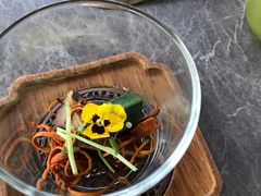 -Hi City·城市之巅