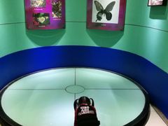 -上海昆虫博物馆