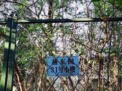 -北京大学燕东园