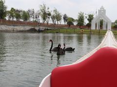 -华谊兄弟（长沙）电影小镇