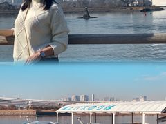 -台场海滨公园船码头