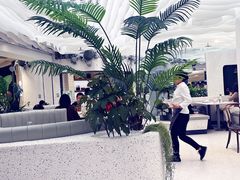 -大树餐厅(大悦城店)