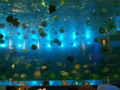 -瑞德姆美人鱼海底演艺主题餐厅(亚龙湾店)