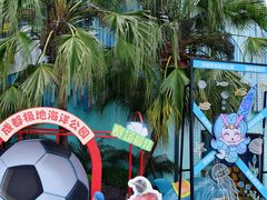 -海合安成都极地海洋公园