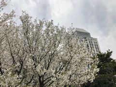 -公益图书馆(江南大学店)