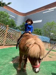 -萌宠亲子动物乐园(槐房万达店)