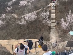 -北京凤凰岭