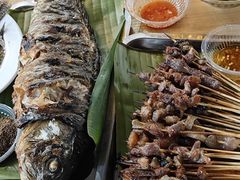 -杨合林啊兰烤鱼