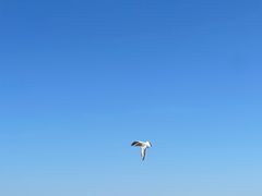 -金梦海湾浴场
