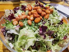 田园大拌菜-金谷园饺子·烧烤(人大总店)