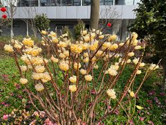 -成飞公园