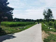-哈拉新村