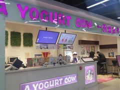 -一只酸奶牛(宝塔区万达店)