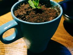 盆栽冰淇淋-王荣法仓前羊锅
