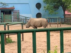-秦皇岛野生动物园